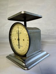 Chatillon Portion Scale