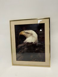 Framed Eagle Print