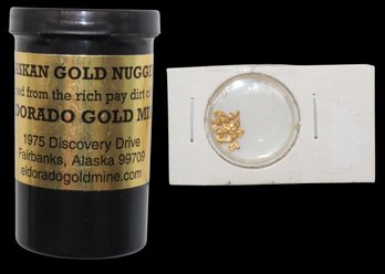Alaskan Gold Nuggets Panned From The Rich Pay Dirt Of The El Dorado Gold Mine
