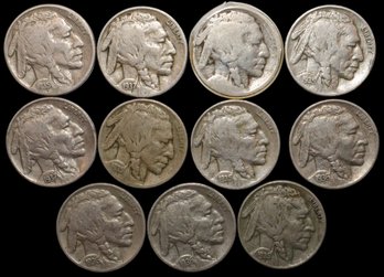 Indian Head/buffalo Nickels Mix Date Collection