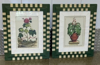 Pair Of Antique Botanical Prints In Fun Painted Frames  - See All Photos