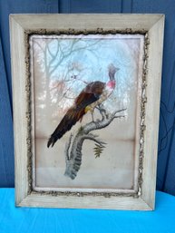 Vintage Mexican Framed Folk Bird Feather Art