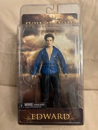 The TWIGLIGHT Saga New Moon Edward Figure In Blue