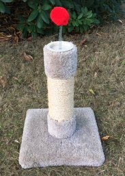 Cat Scratching Post