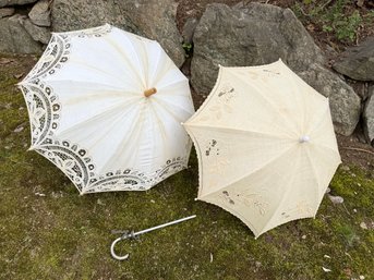 Pair Of Parasols With Antique Parasol Handle