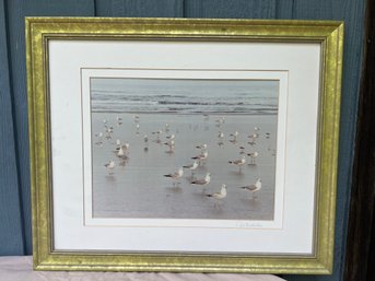 Matted, Framed And Sign Ocean Seagulls Photography Wall Art Decor