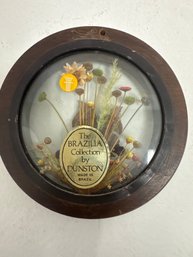Vintage Brazilia Collection Dried Flower And Butterfly Art Piece By Dunston