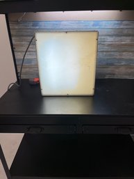 Pickett Portable Light