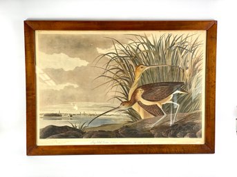 Turn Of The Century Large John James Audubon