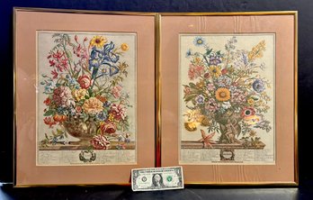 Pair Of Botanical Prints