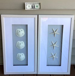 2 Modern Sea Themed Shadowbox Wall Hangings Framed Under Glass