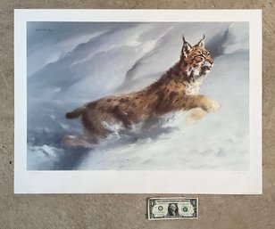 Original Manfred Schatz Lynx Lithograph Pencil Signed & Numbered 145/500
