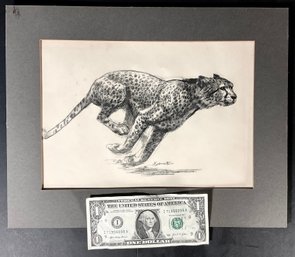 Original D. Schwartz  Graphite Drawing Of A Running Cheetah