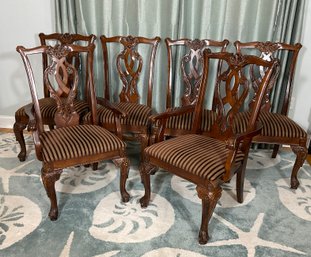 6 Carved Mahogany Chippendale  Dining Chairs