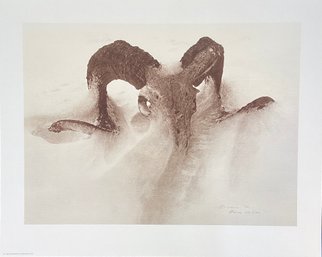 James Bama Ltd. Edition Titled: Sheep Skull In Drift Printed By The Greenwich Workshop  Company