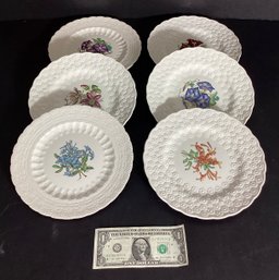 6 Never Used Spode Bermuda Flowers Plates Each With A Different Flower