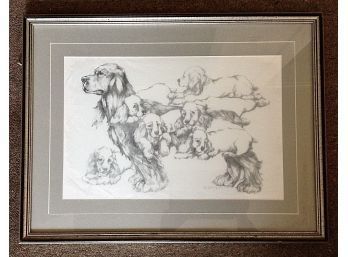 'The Dog' An Excellent Pencil Drawing Framed And Beautifully Matted By The Late ConnecticArtist Barbara Dahlin