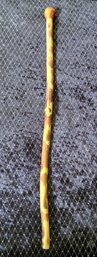 Vintage Rustic Natural Wood Walking Stick  Knob Handle  Approx. 36'