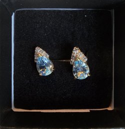 R-10 Earrings Blue Gem Stamped 925