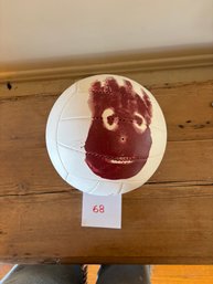 Wilson AVP Cast Away Volleyball