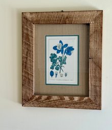 Framed Botanical Print