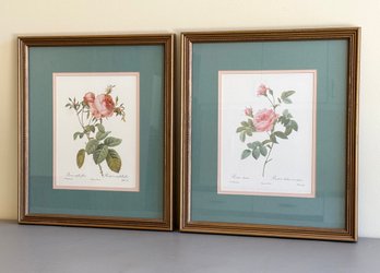 (2) Framed Botanical Prints - Rose