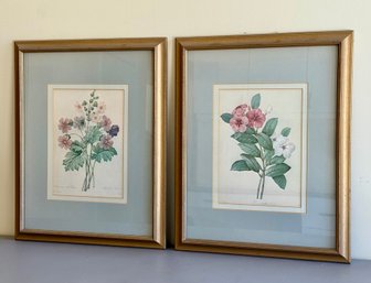 (2) Framed Botanical Prints