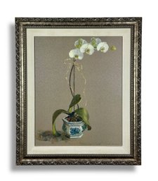 Framed Botanical Art Print (A)