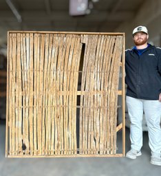 300 Year Old Chestnut Lath Panel Encased