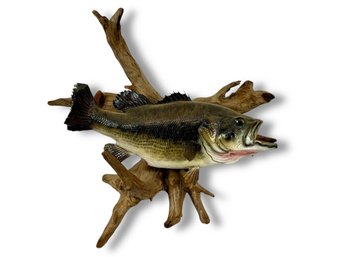 Bass Wall Trophy