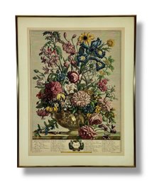 Framed Botanical Print - Summer
