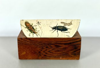 Original Artwork Motif Of Insects