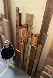 Mixed Grouping Of 100 Year Old White Pine, Chestnut & Oak