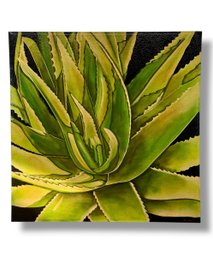 Large Aloe Plant Original Oil On Canvas