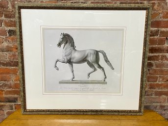 Large Regal Horse Sketch Equestrian Cavallo Print Framed Art Wall Decor 35x40 - Retail $850.00