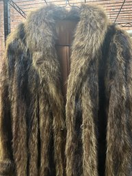 Raccoon Coat
