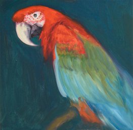 Huang Dongxing Contemporary Figurative Original Oil 'Parrot'