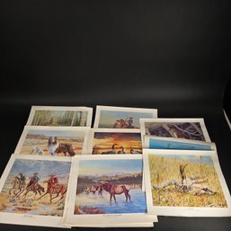 Lot Of (12) Ben Cooper Wild Life Prints - 1970s (14' X 12')