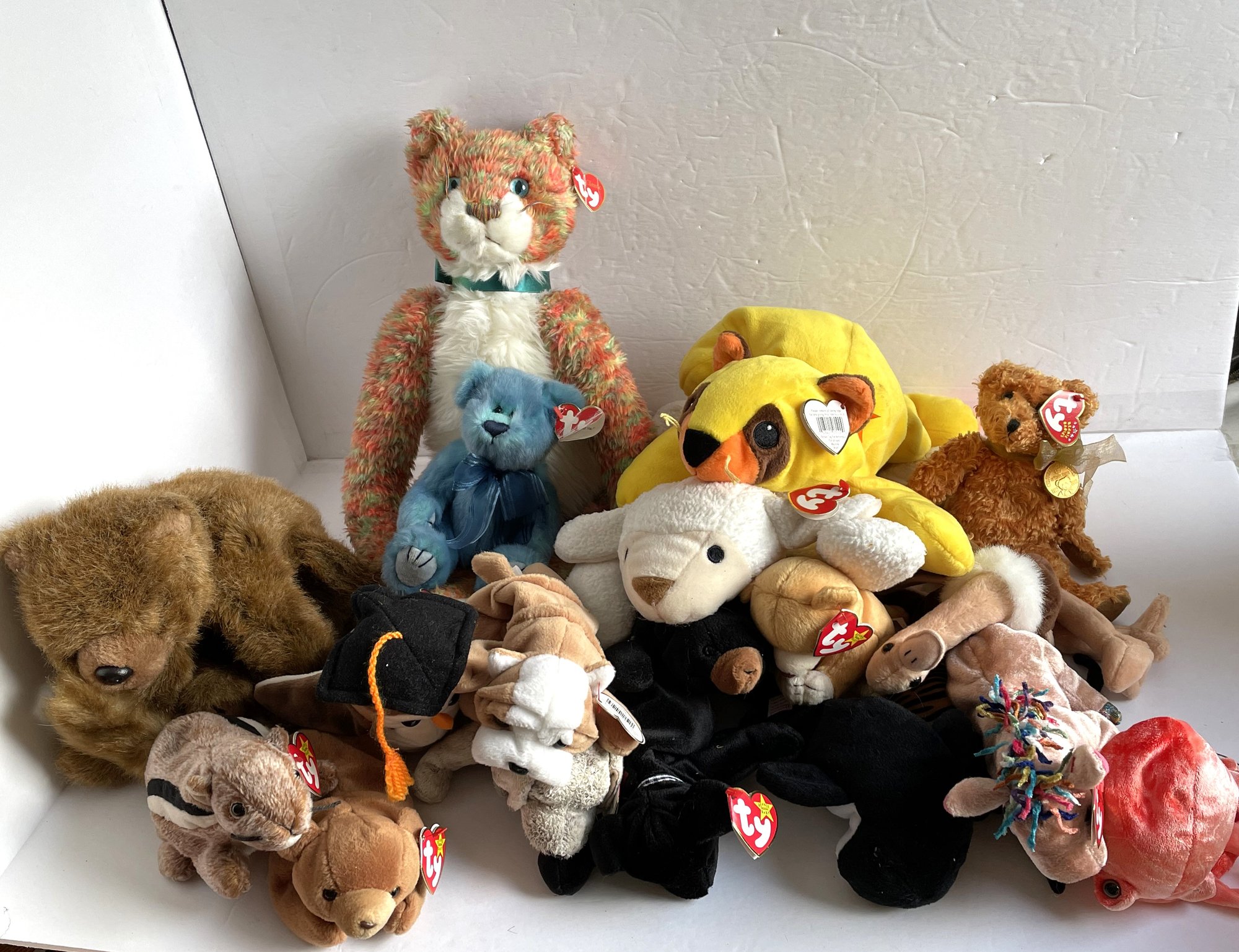 TY Plush Toys, Assorted Lines And Sizes #1866 | Auctionninja.com