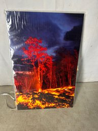 Photographer Stephen O'Meara Photo Of Molten Lava From Hawaii's Kilauea Volcano