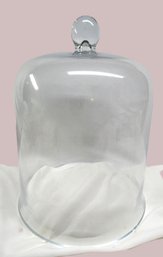 Glass Bell Shaped Plant Cloche
