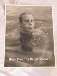 Bear Pond By Bruce Weber Poster