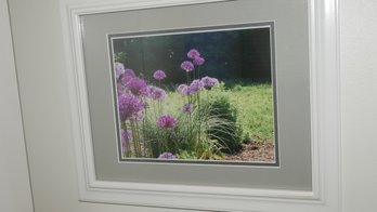 FRAMED PHOTO OF PURPLE ALLIUM FLOWERS
