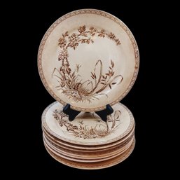 Set Of 8 Antique Dinner Plates TG & FB Brown Transferware- Hawthorn