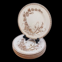 Set Of 6 Antique TG & FB Hawthorn Transferware 10' Dinner Plates