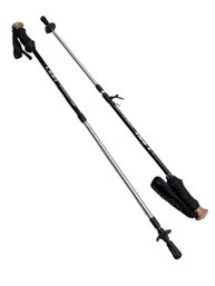Leki Sking Poles (bs)