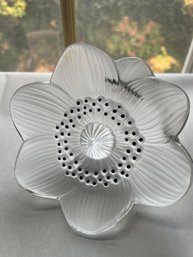 Lalique Anemone Figure( Black) (DR)