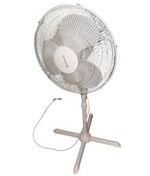Penguin Standing Floor Fan Works! (LR)