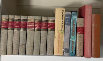 Shelf Full Of Assorted Books F (BH)