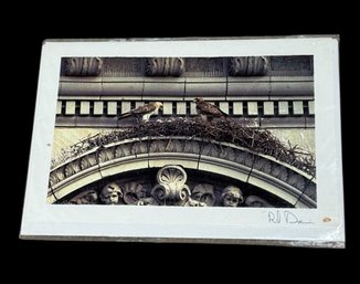 Rik Davis Signed Red Tailed Hawk On Fifth Ave Photography (BH)
